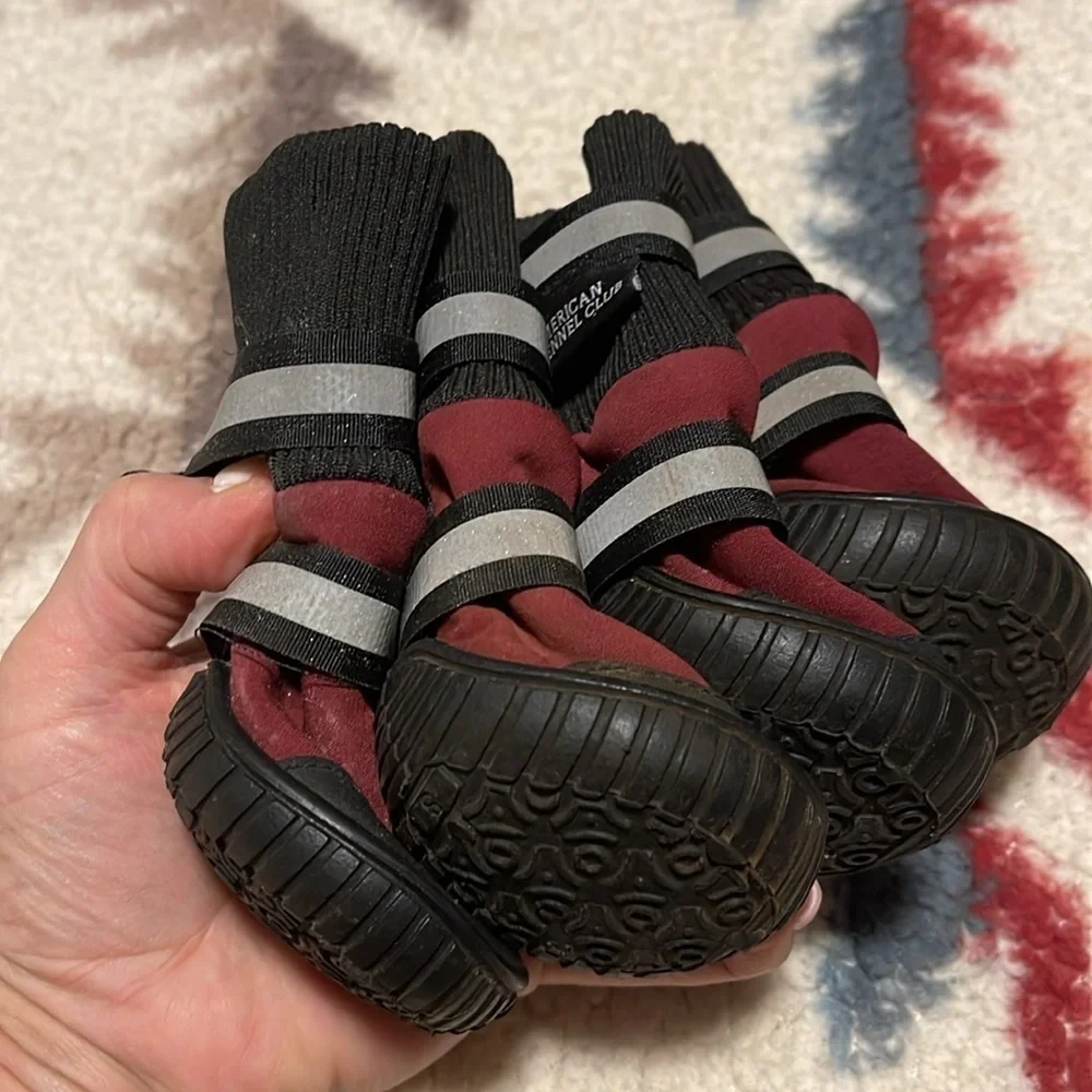 American Kennel Club size small